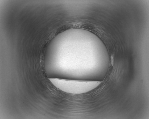 X0000066971395200603241007