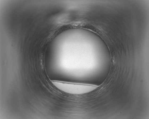 X0000066971396200603241007