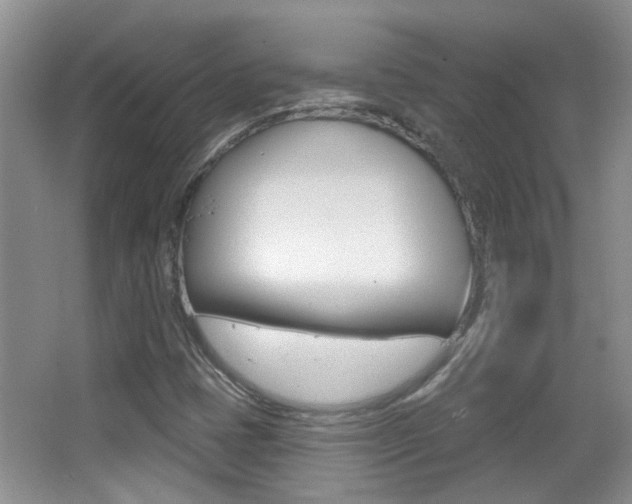 X0000066971401200603241007