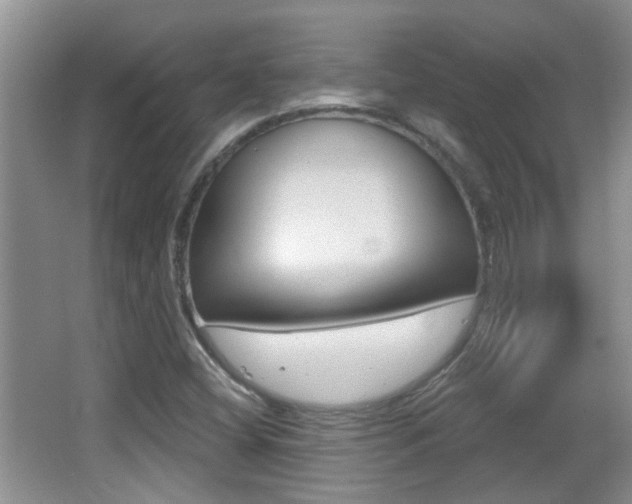 X0000066971404200603241007
