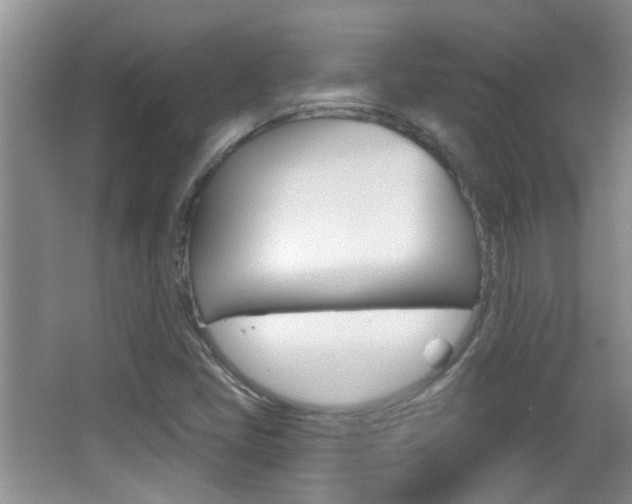 X0000066971405200603241007