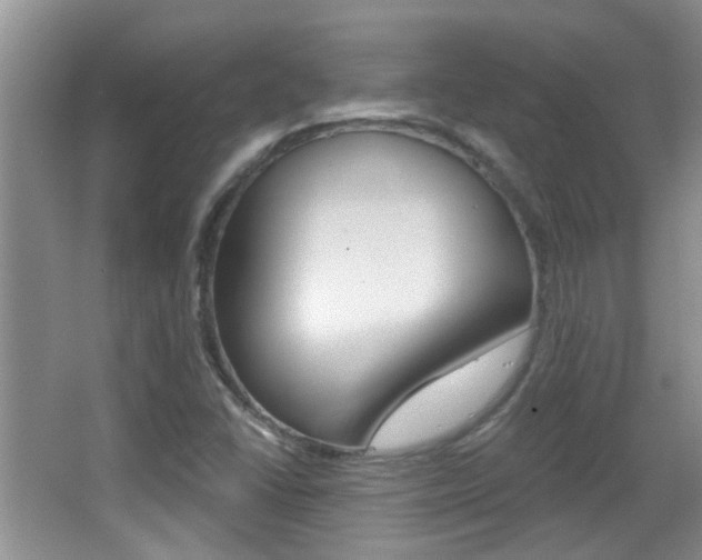 X0000066971406200603241007