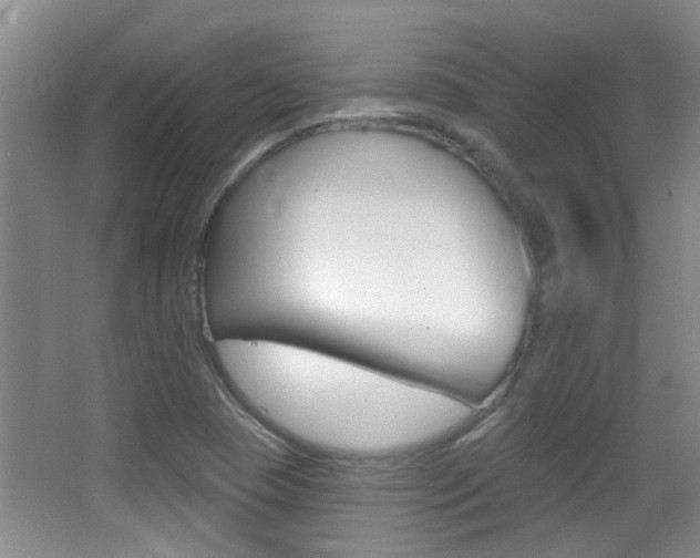 X0000066971409200603241007
