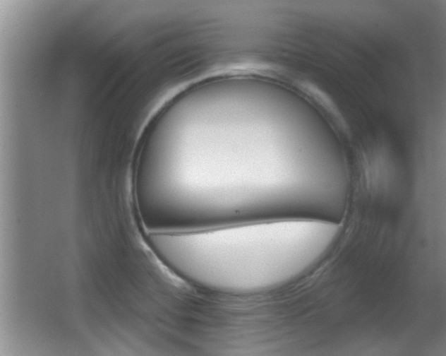 X0000066971420200603241007