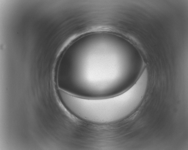 X0000066971422200603241007