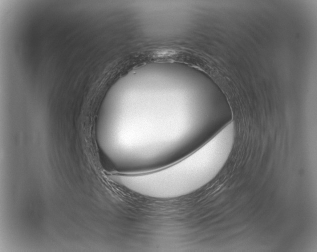 X0000066971441200603241007