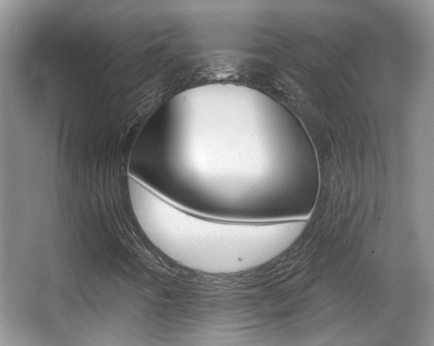 X0000066971442200603241007