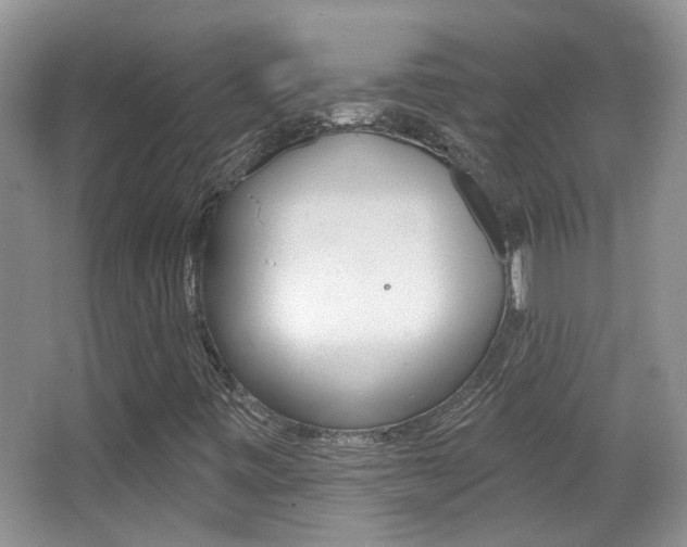 X0000066971443200603241007