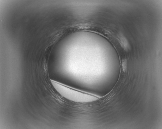 X0000066971444200603241007
