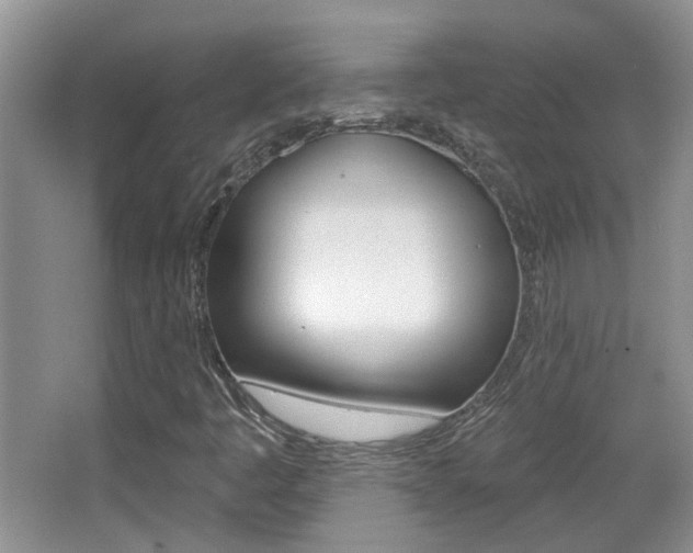 X0000066971445200603241007