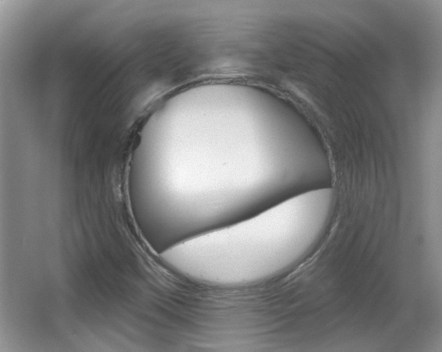 X0000066971451200603241006