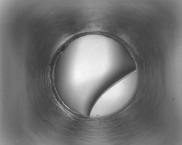 X0000066971452200603241006