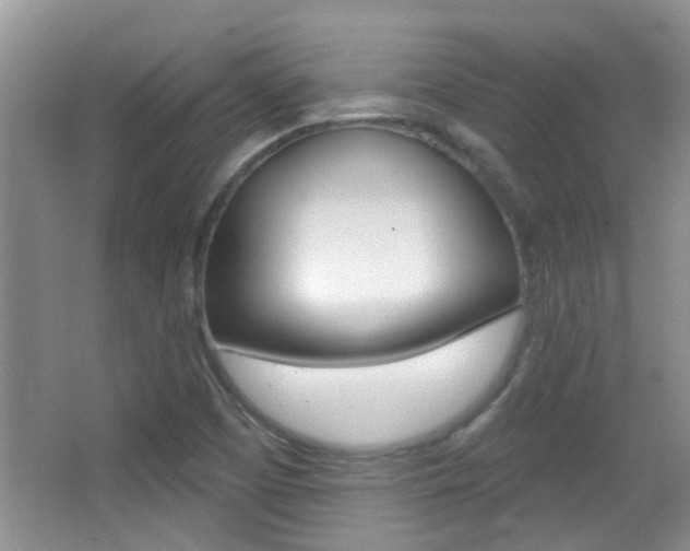X0000066971457200603241006