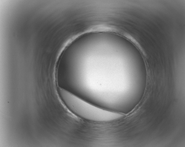 X0000066971477200603241006
