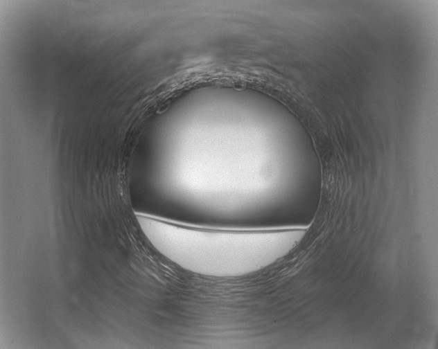 X0000066971490200603241005
