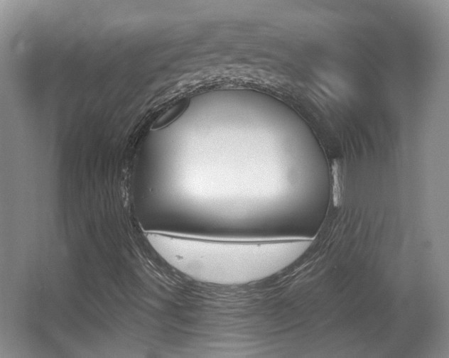 X0000066971491200603241005