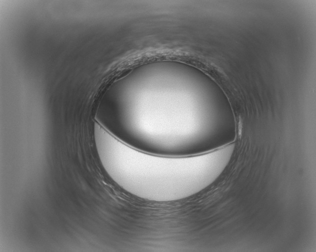 X0000066971492200603241005