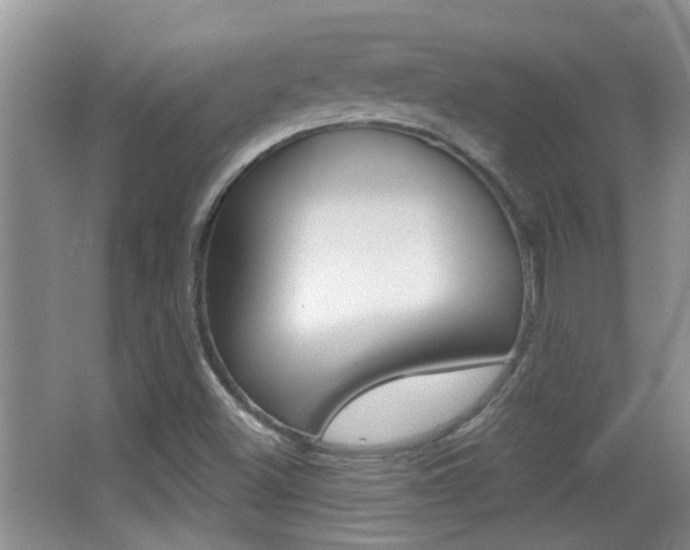 X0000066971500200603241005