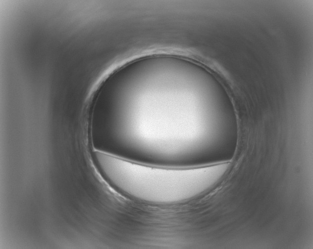 X0000066971504200603241005