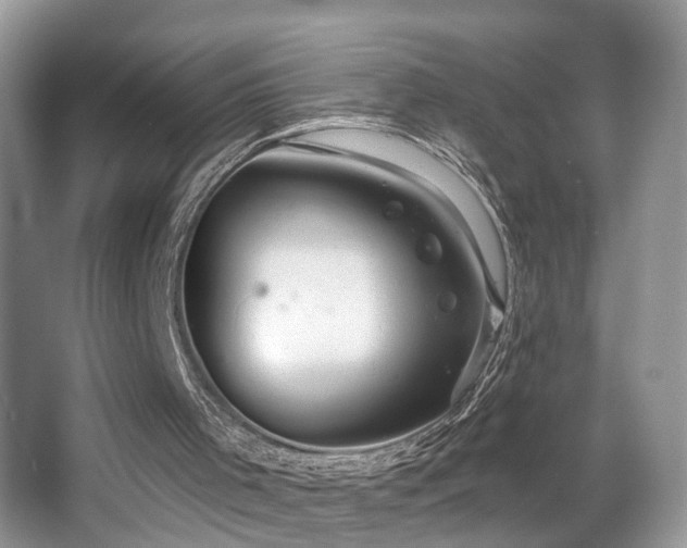 X0000066970001200603241223