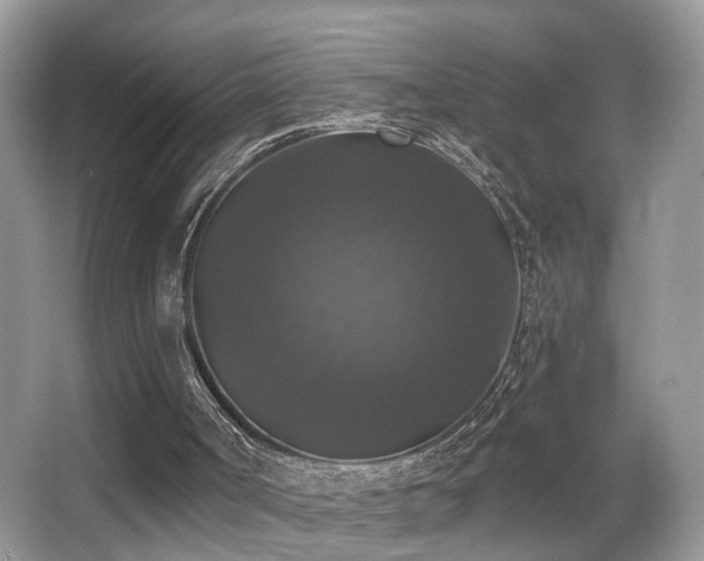 X0000066970002200603241223