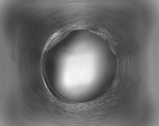 X0000066970003200603241223