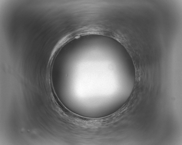 X0000066970004200603241223