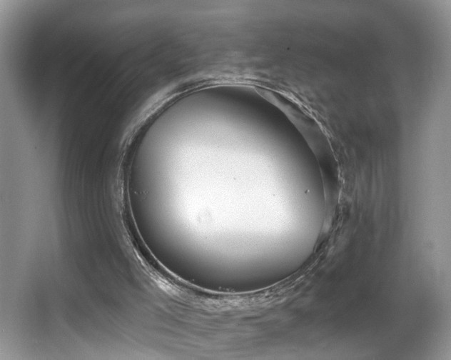 X0000066970005200603241223