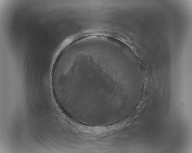 X0000066970006200603241223