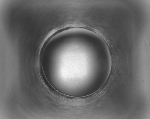 X0000066970008200603241223