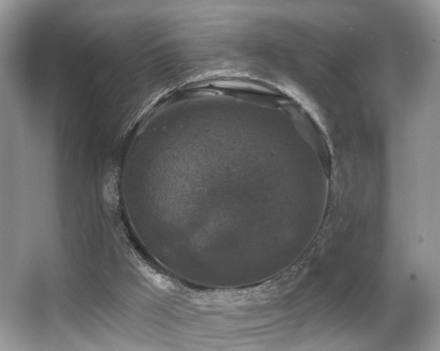 X0000066970009200603241223