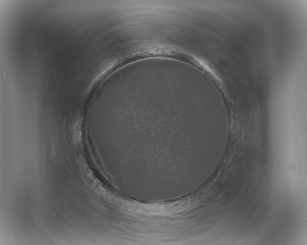 X0000066970010200603241223