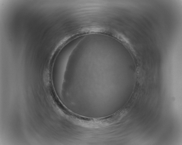 X0000066970012200603241222