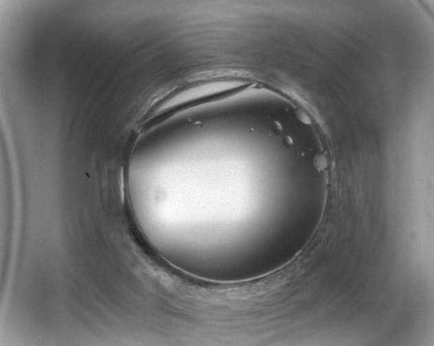 X0000066970013200603241222