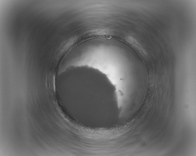 X0000066970014200603241222