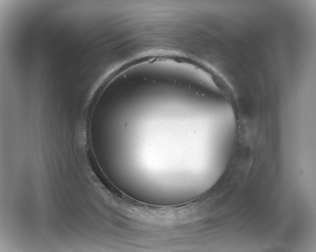 X0000066970015200603241222