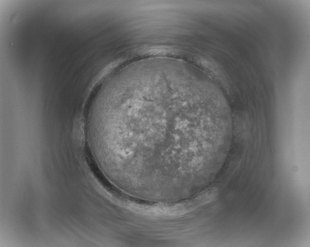 X0000066970016200603241222