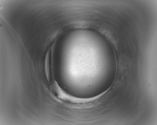 X0000066970017200603241222