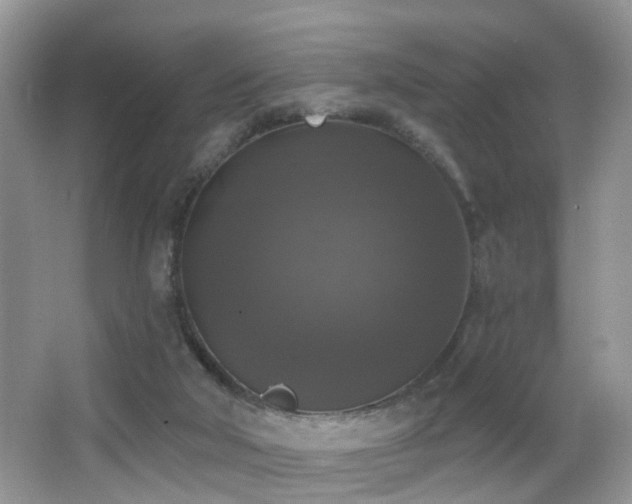 X0000066970018200603241222