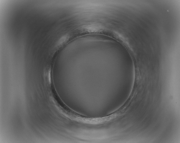 X0000066970019200603241222