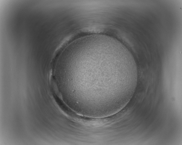 X0000066970020200603241222