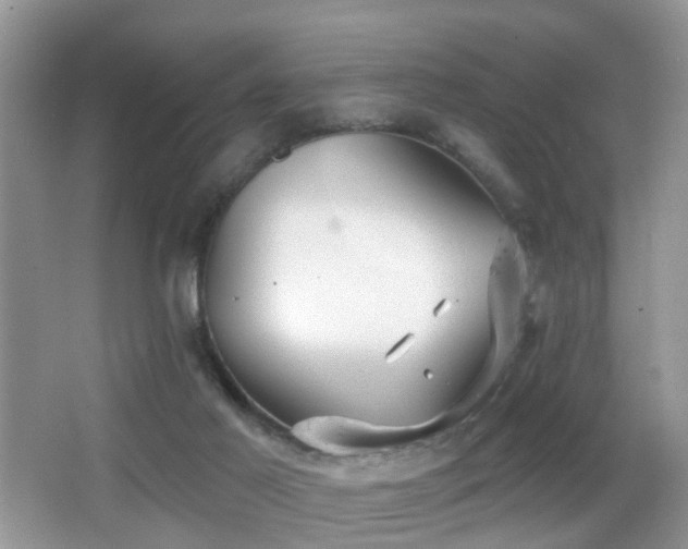 X0000066970021200603241222