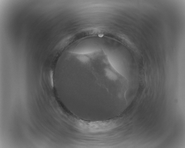 X0000066970022200603241222