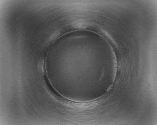 X0000066970023200603241222