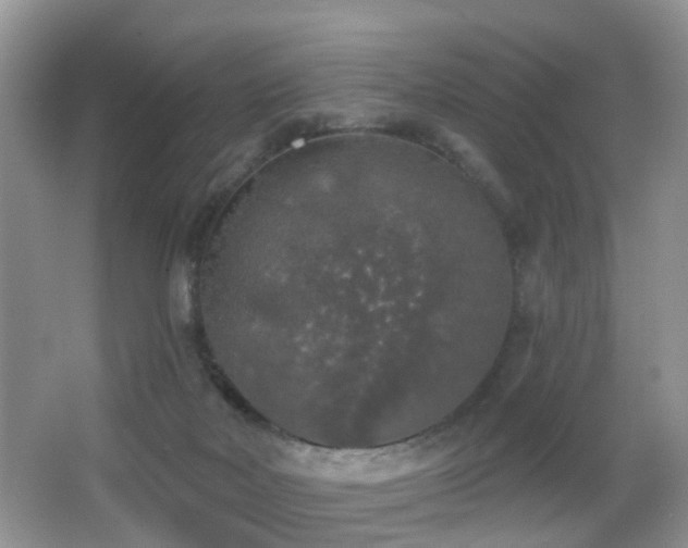 X0000066970026200603241222