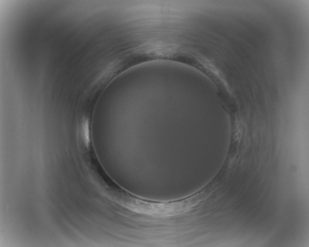 X0000066970027200603241222