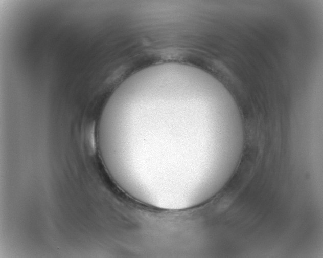 X0000066970028200603241222