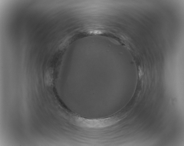 X0000066970030200603241222