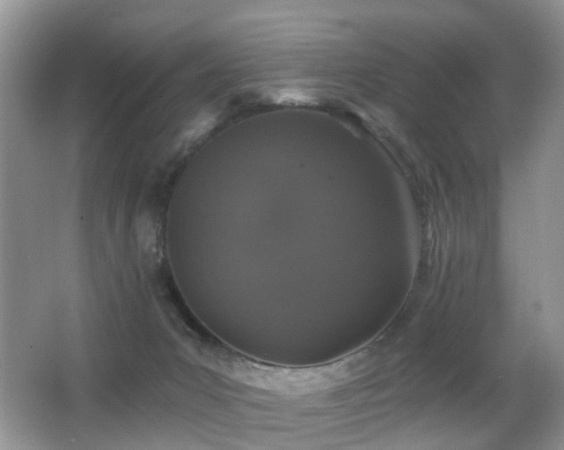 X0000066970031200603241222