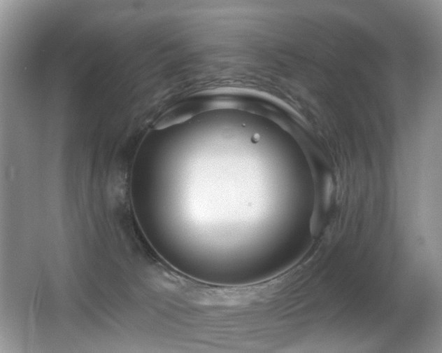 X0000066970033200603241222